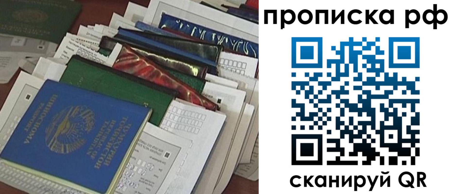 прописка в Волгоградской области